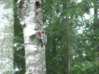 100_6714.jpg
